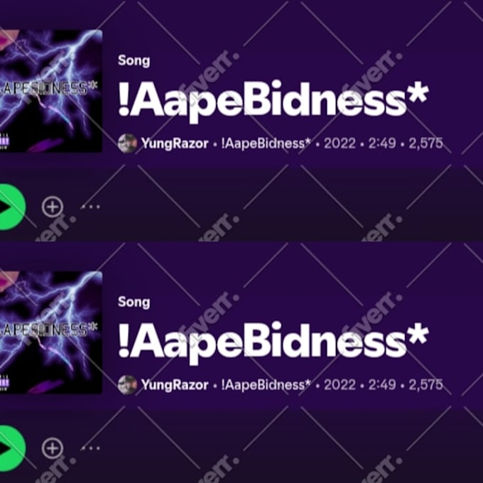 do spotify music playlist promotion
