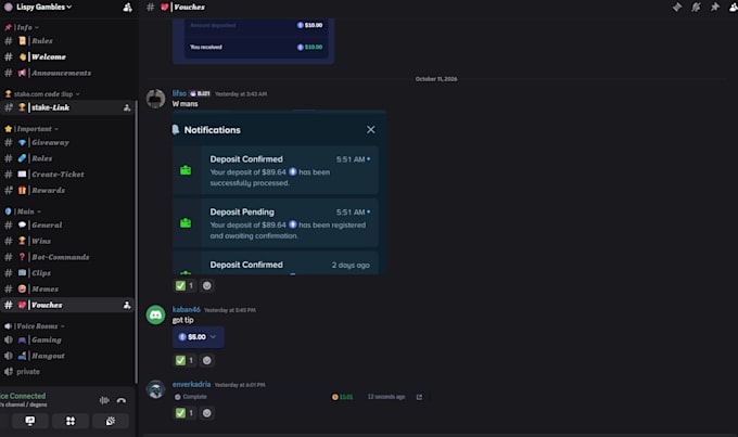 setup a professional discord server with bots, roles, and auto mod