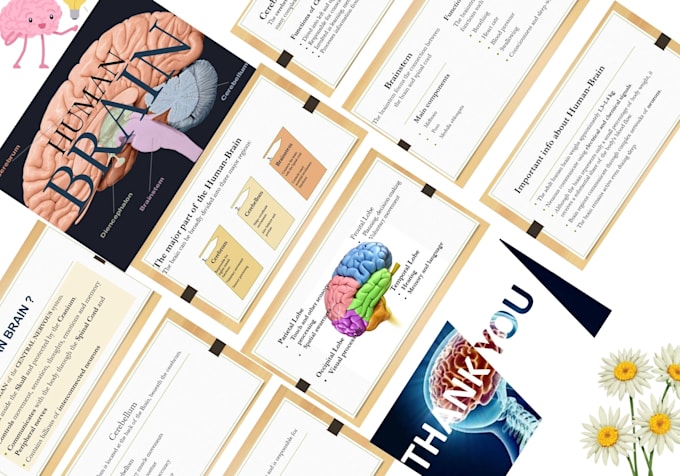 design powerpoint presentation for you