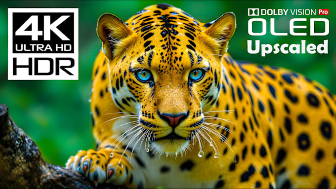 upscale your low resolution image into 4k image