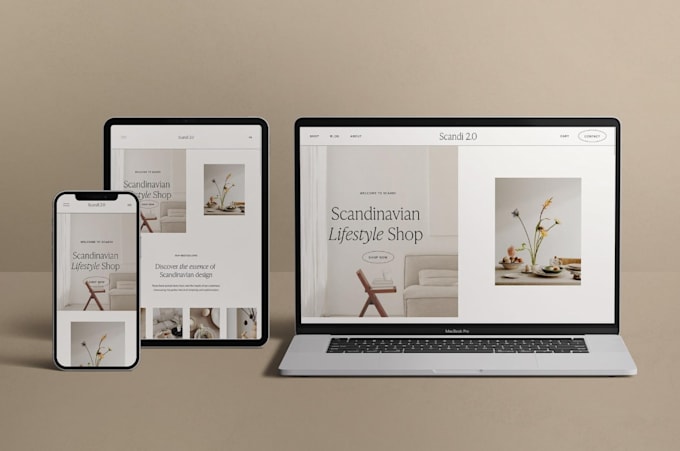create a professional ecommerce website or online store