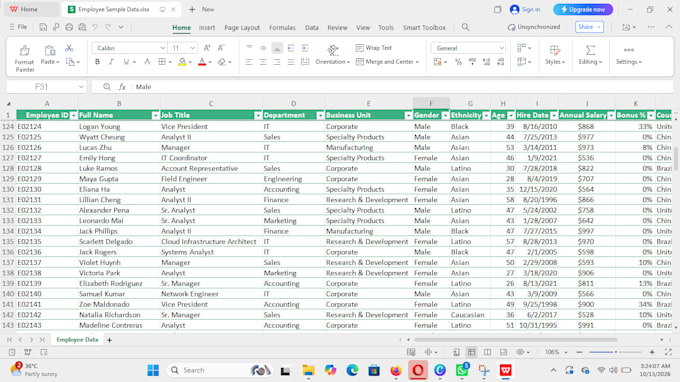 excel data entry, copy typing and data cleaning