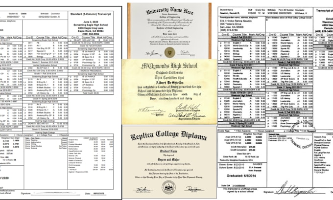 design transcript for high school, college, university and diploma certificate