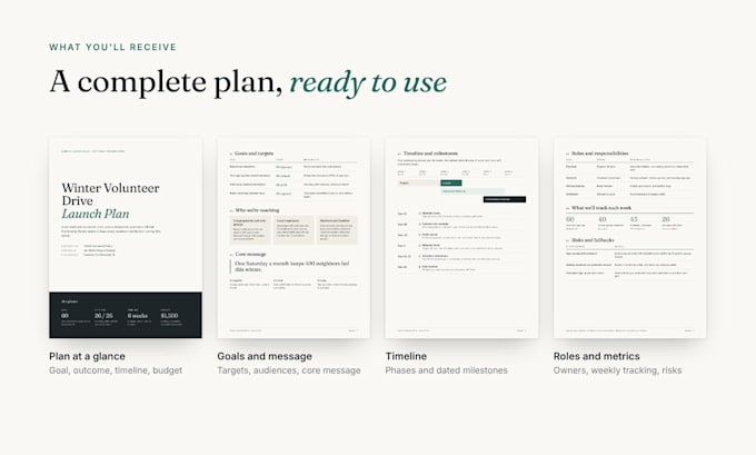create a strategic campaign or custom program launch plan
