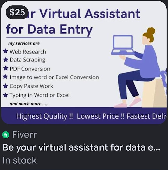 do professional data entry and virtual assistant work