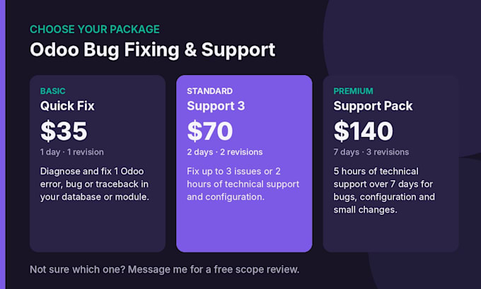 fix odoo errors and bugs and provide odoo technical support