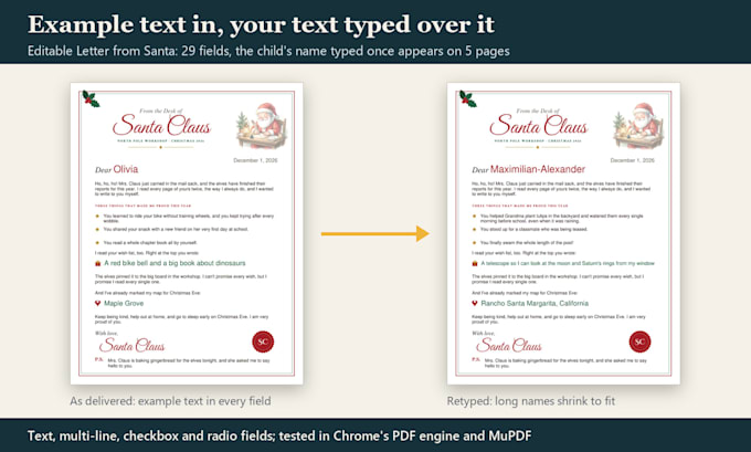 create a fillable PDF form, editable template or interactive workbook
