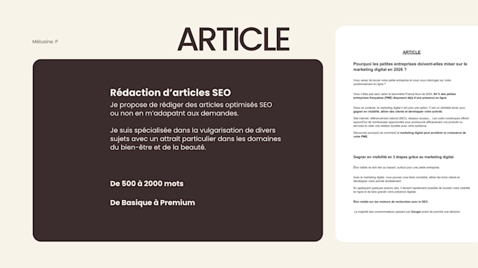 rédige vos articles de blog optimisés SEO