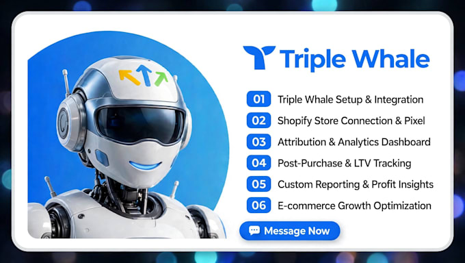 be expert triple whale setup ecommerce analytics, audit fix analytics issue