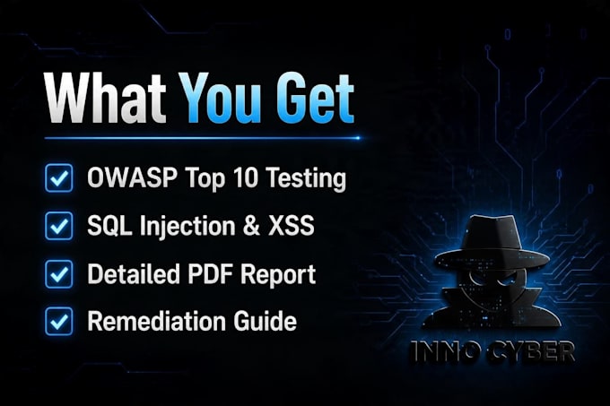 perform web application penetration testing and owasp audit