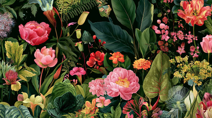 create custom plant and floral illustrations