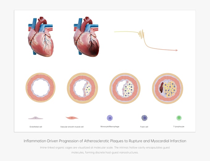 design premium manuscript figure and graphical abstract