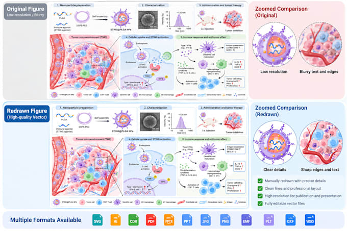 redraw scientific figures and diagrams for research papers