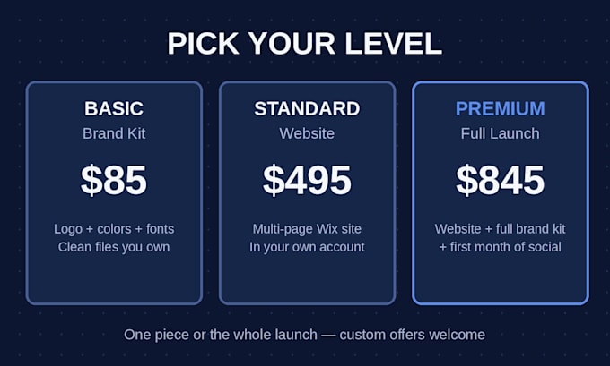 build a business launch package logo website and social