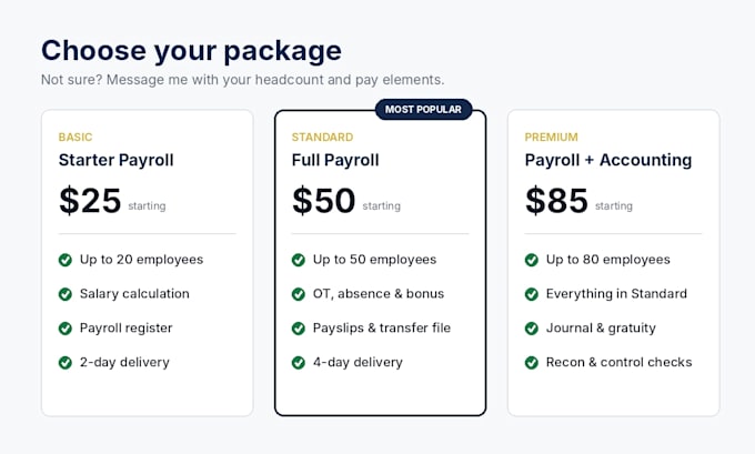 Process monthly payroll and salary transfer file by Aliwaseer_acca | Fiverr