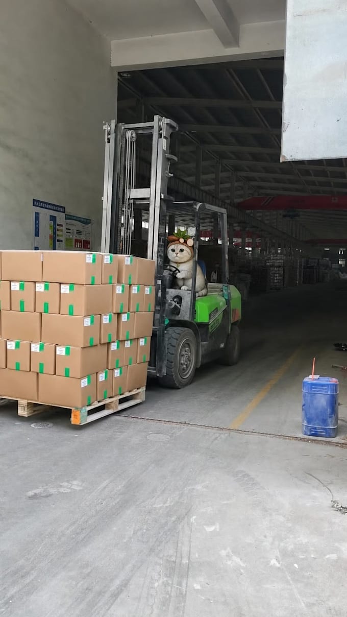supplier management freight consultant  customer service