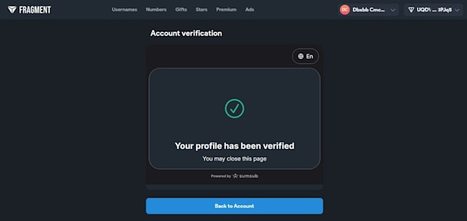 fragment verification for telegram ads setup approved, fix telegram ads rejected