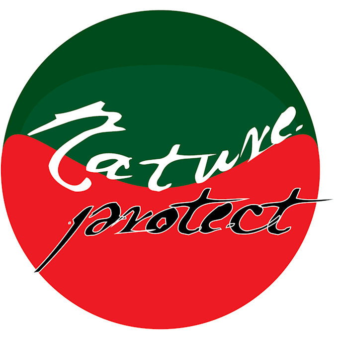 do custom logo designs