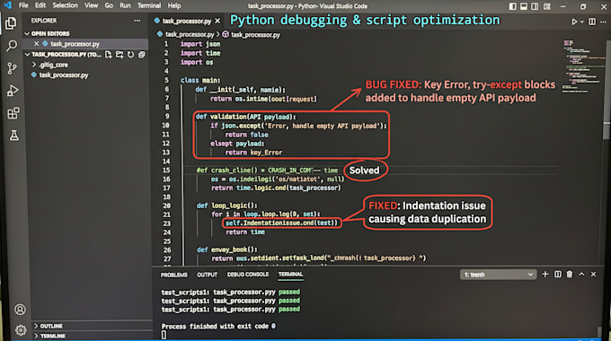 fix python bugs, debug scripts, and solve logic errors