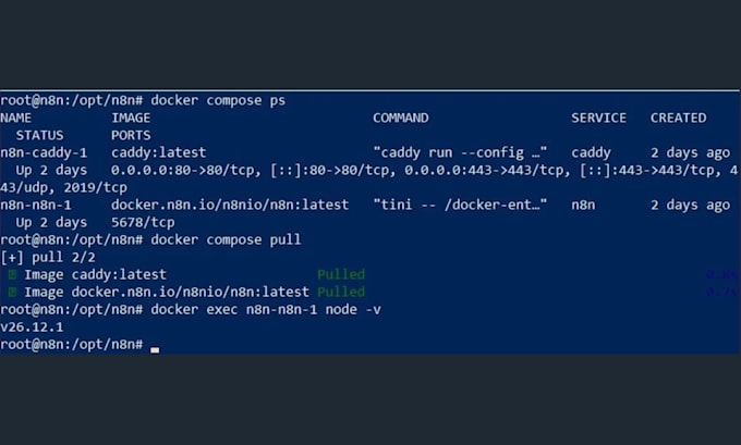 set up self hosted n8n on your server with https, backups and updates