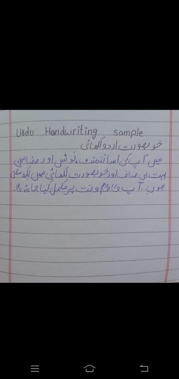 write neat handwritten assignments