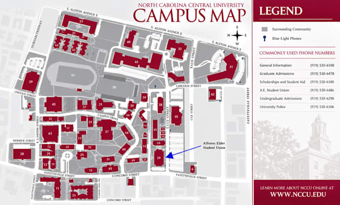 design a campus map, university map, vector map for your school