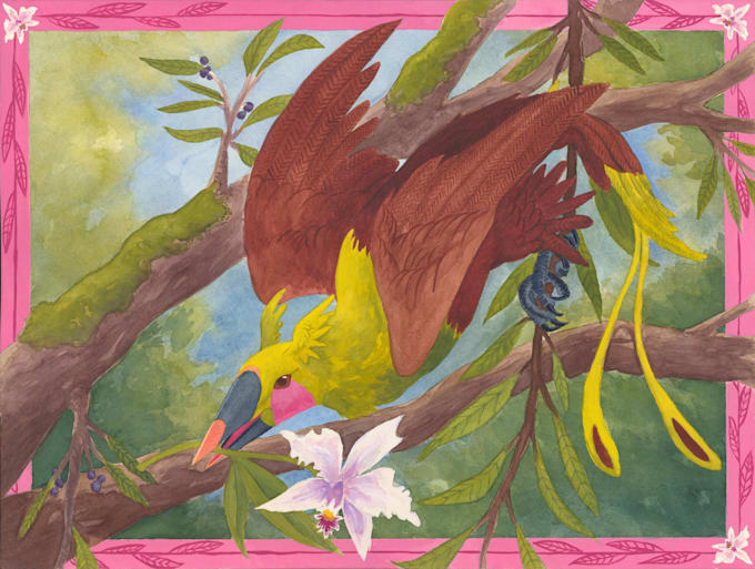 create a digital illustration