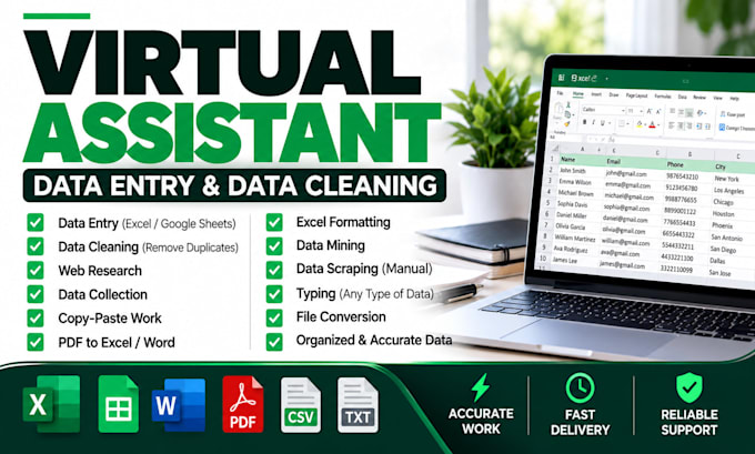 do e commerce data entry, product listing, and business data cleaning