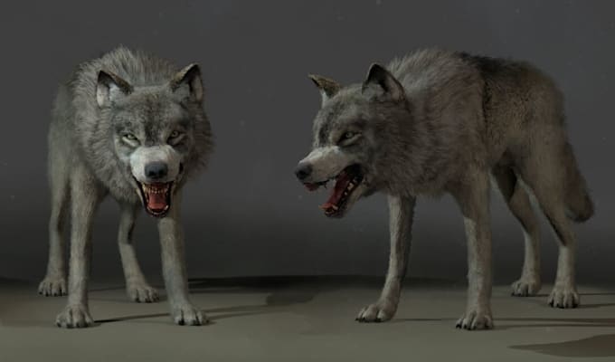 create 3d creatures ready for game, werewolf and wild animal, ue5 3d rigging,fbx
