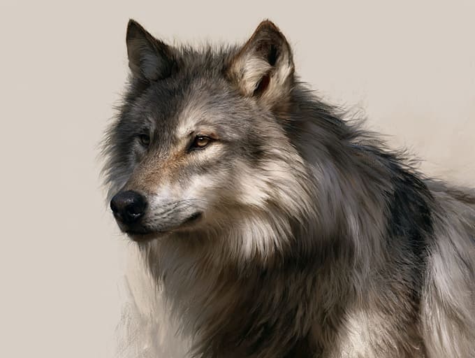 create realistic animal illustration