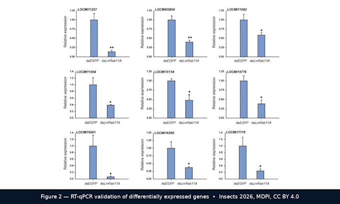 do rna seq and transcriptomics data analysis for research