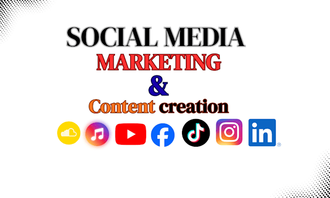 be your music social media manager for artist growth and content creation