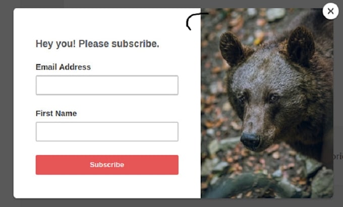 create mailchimp optin or popup signup form
