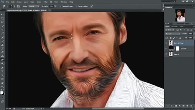 convert your picture into a digital oil painting effect
