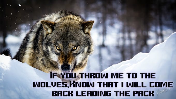 write quotes on images