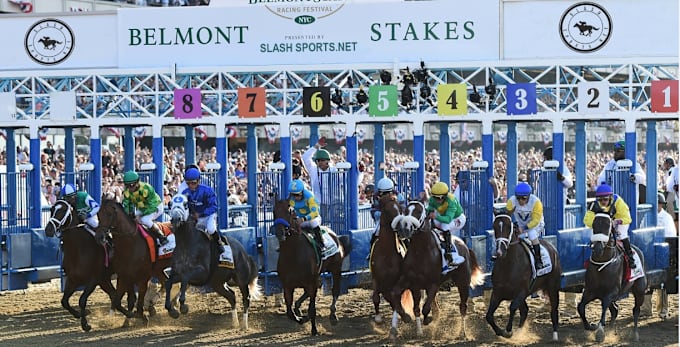 Put Your Text N Logo On A Horse Race Starting Gate By Annepaul Fiverr