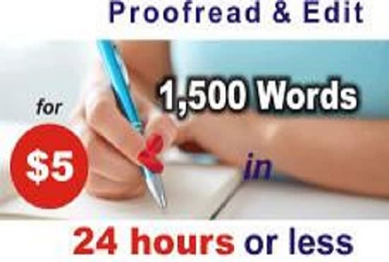 proofread and edit any type of word document