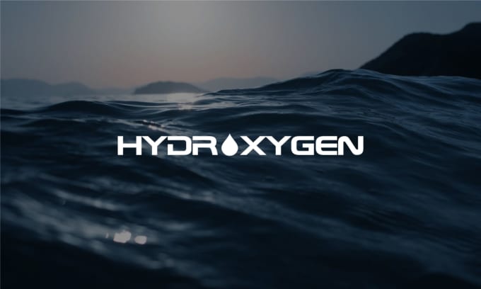 I will design a professional and beautiful logo - Image 2