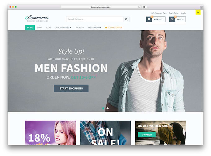 develop wordpress ecommerce and business website