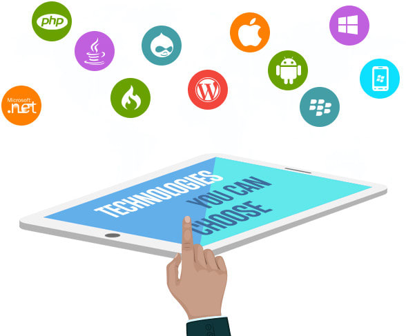 fix all web related programming issues