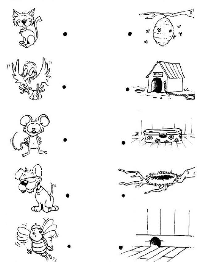 kindergarten worksheet activity and coloring sheets by shumail999 fiverr
