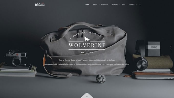 design or redesign professional website