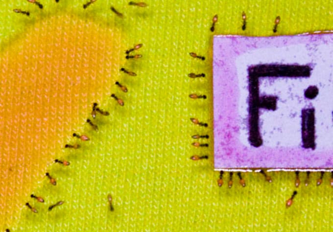 use ants to form a simple logo or word