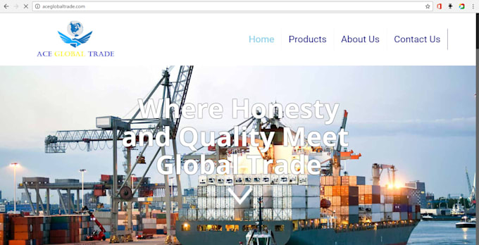 do professional wordpress 5 pages website special offer