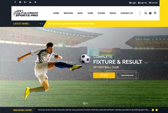 Create Sports Soccer Cricket Or Football Website In Wp By