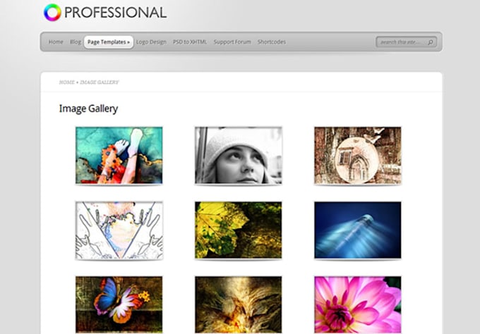 create this Website with Professional Web Design