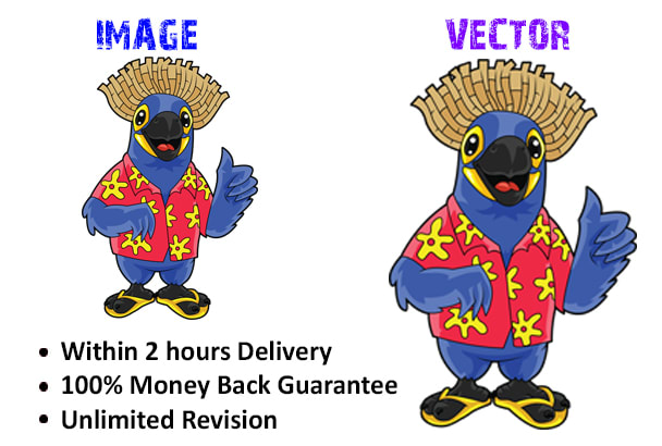 convert your logo or image to vector within 2 hours