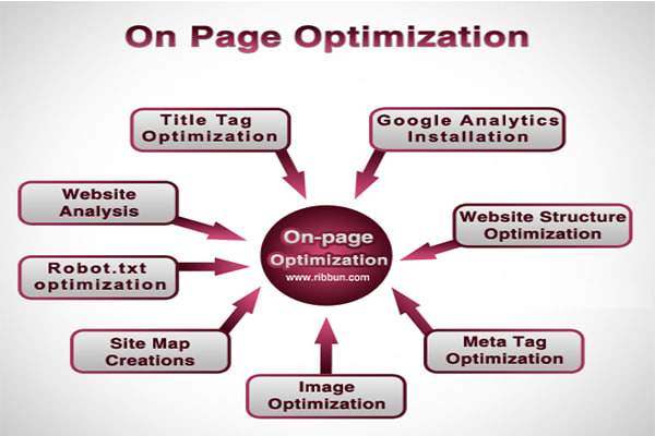 fix and do professionally on page optimization For your website
