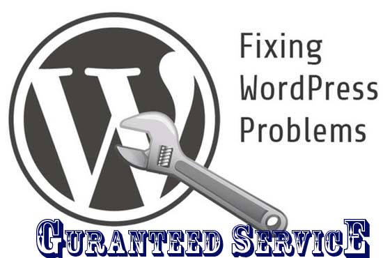 setup,install,fix or transfer wordpress site