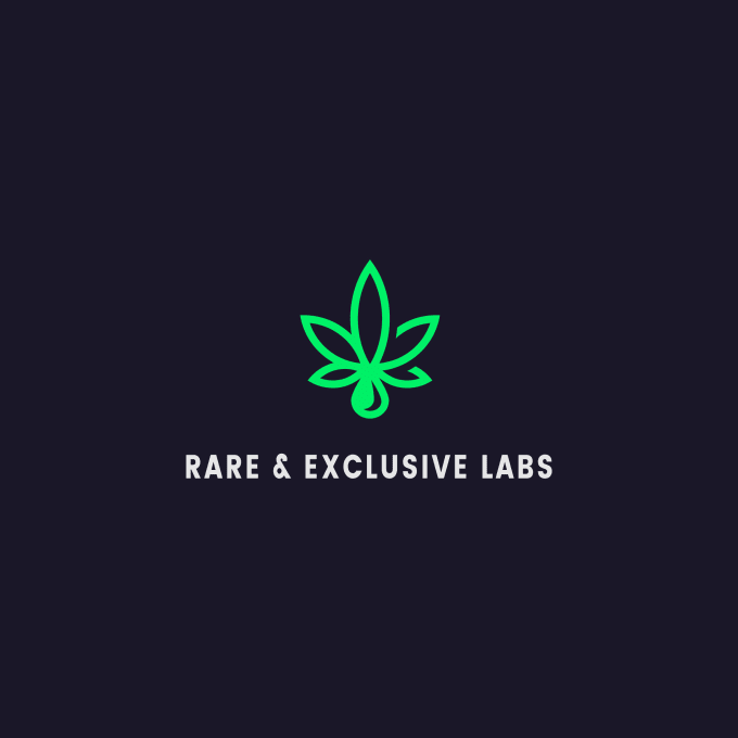 Design professional logo for you by Disegnaestudio Fiverr